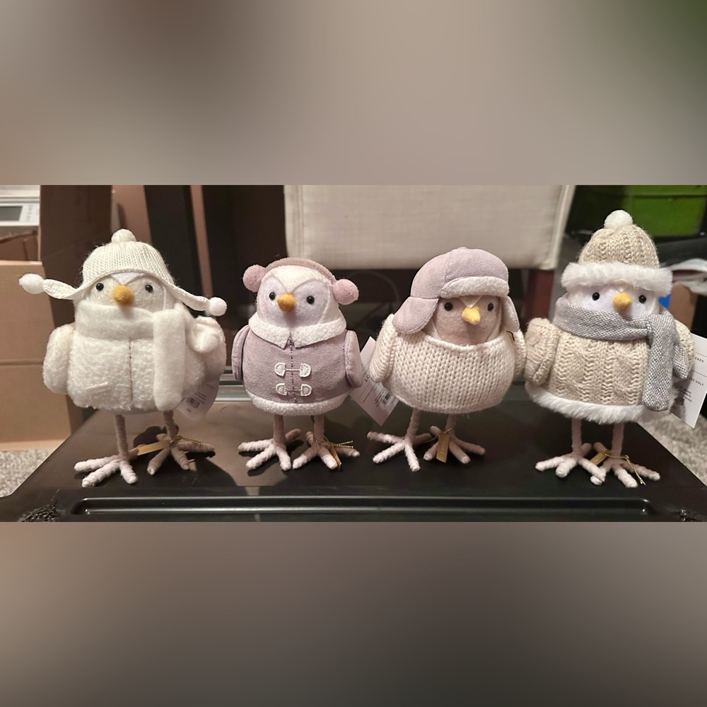 2023 Target Wondershop Featherly Freinds Set of 4 Bundle